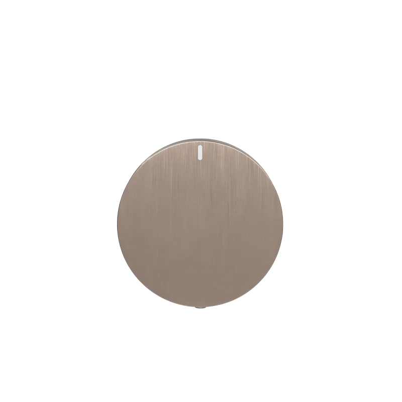 Progressive mixer (in-wall body and Trim set) - Champagne - Image 4